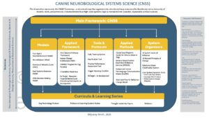 CNSS Meta-Framework Illustration